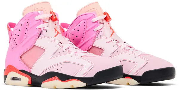Awake NY x Air Jordan 6 Retro 'Bubblegum'